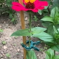 thumbnail image 5 of allFENZ Plant Support Clips (50-Pack), 5 of 5