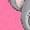 Hot Pink, variant on Inktastic 1st Birthday Koala 1 Year Old Girl Girls Baby T-Shirt