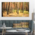 thumbnail image 1 of Beautiful Pine Forest at Sunset - Modern Forest Canvas Art, 1 of 3