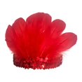 thumbnail image 1 of Diadema de plumas decorativa para fiesta, baile, escenario, espectáculo, cosplay Rojo, 1 of 9