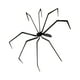 thumbnail image 4 of Decoración de araña de Halloween, adorno, aterrador, accesorio decorativo, juguete de animal realista para pared interior y exterior, patio, porche,, 4 of 8
