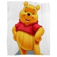 thumbnail image 3 of Cute Winnie the Pooh Soft Cozy Luxury Couch Blanket Home Decor Bedding Warm Fuzzy Blanket for Couch, Kids Bed and Sofa, 3 of 10