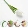 thumbnail image 7 of 10pcs White Artificial Tulip Flowers 13.5" - Silk Flowers Bouquets for Easter, Mother's Day, Wedding Decor - Home Kitchen Table Centerpieces (Bulk Set), 7 of 7