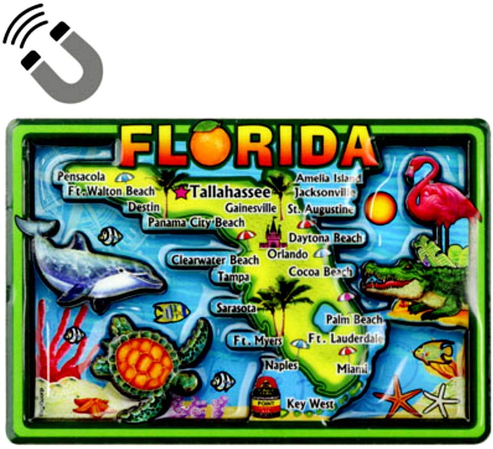 Florida CLEARWATER BEACH Travel Souvenir Flexible Fridge MAGNET 
