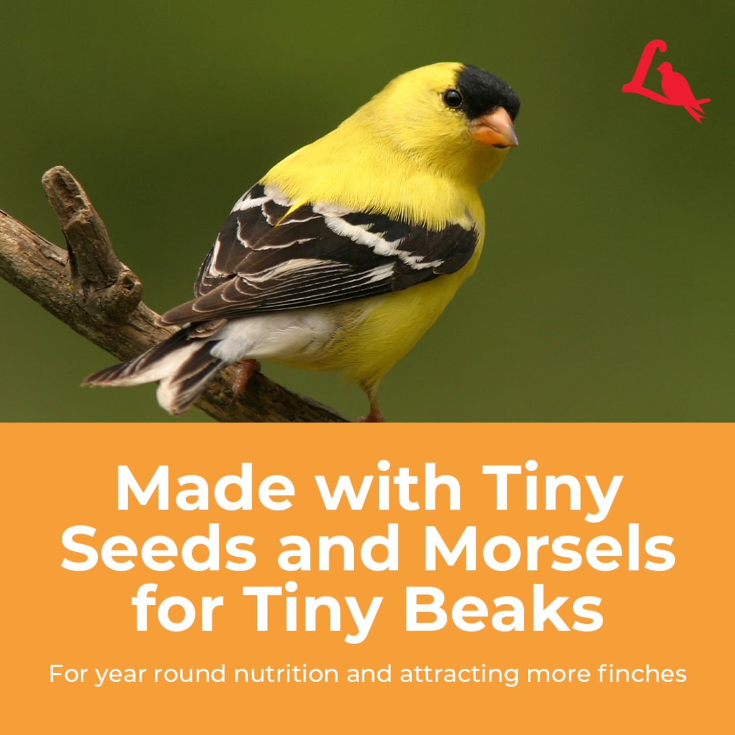 Lyric Finch Wild Bird Seed, Small Songbird Bird Finch Food - 20 lb. Bag