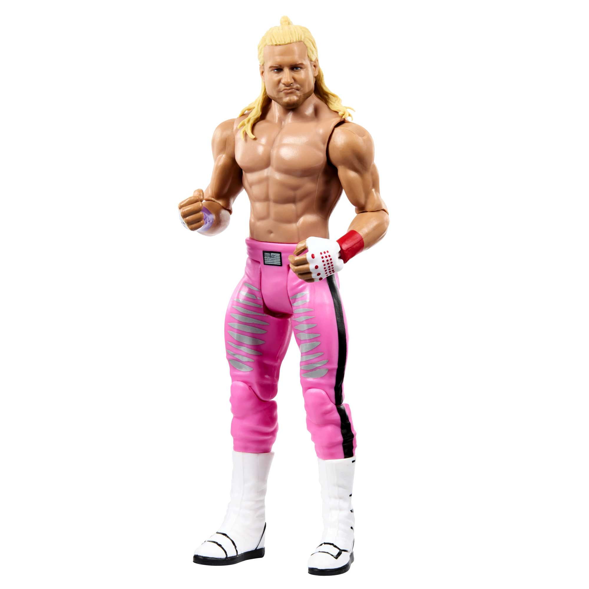 WWE Dolph Ziggler Basic Action Figure, 6"