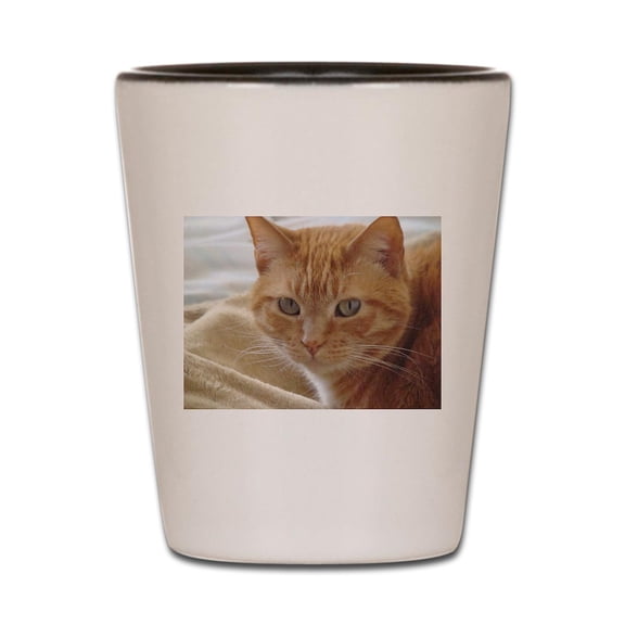 CafePress - Orange Cat - White/Black Shot Glass, Unique and Funny Shot Glass