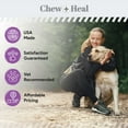 thumbnail image 5 of Chew + Heal Milk Thistle for Dogs Liver Support - 2 oz Liquiq Supplement for Kidney and Liver Support, 5 of 6