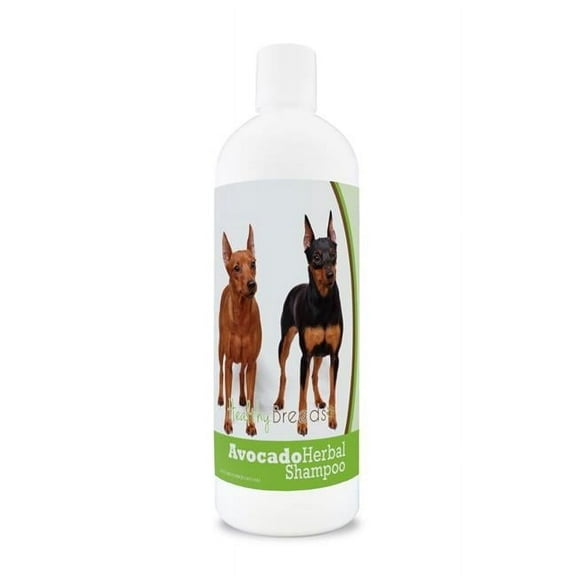 Healthy Breeds 840235156536 Miniature Pinscher Avocado Herbal Dog Shampoo
