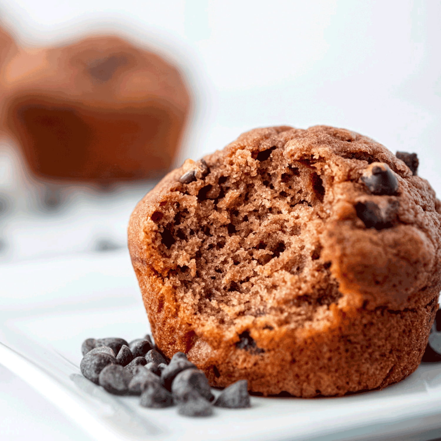(6 pack) Lehi Mills Chocolate Chocolate Muffin Mix 18 oz Box - Premium Baking Mix