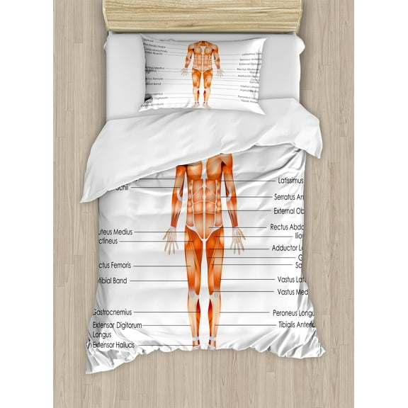 Human Anatomy Duvet Cover Set, Muscle System Diagram of Man Body Features Biological Elements Scheme Image, Decorative 2 Piece Bedding Set with 1 Pillow Shams, Twin Size, Coral, by Ambesonne