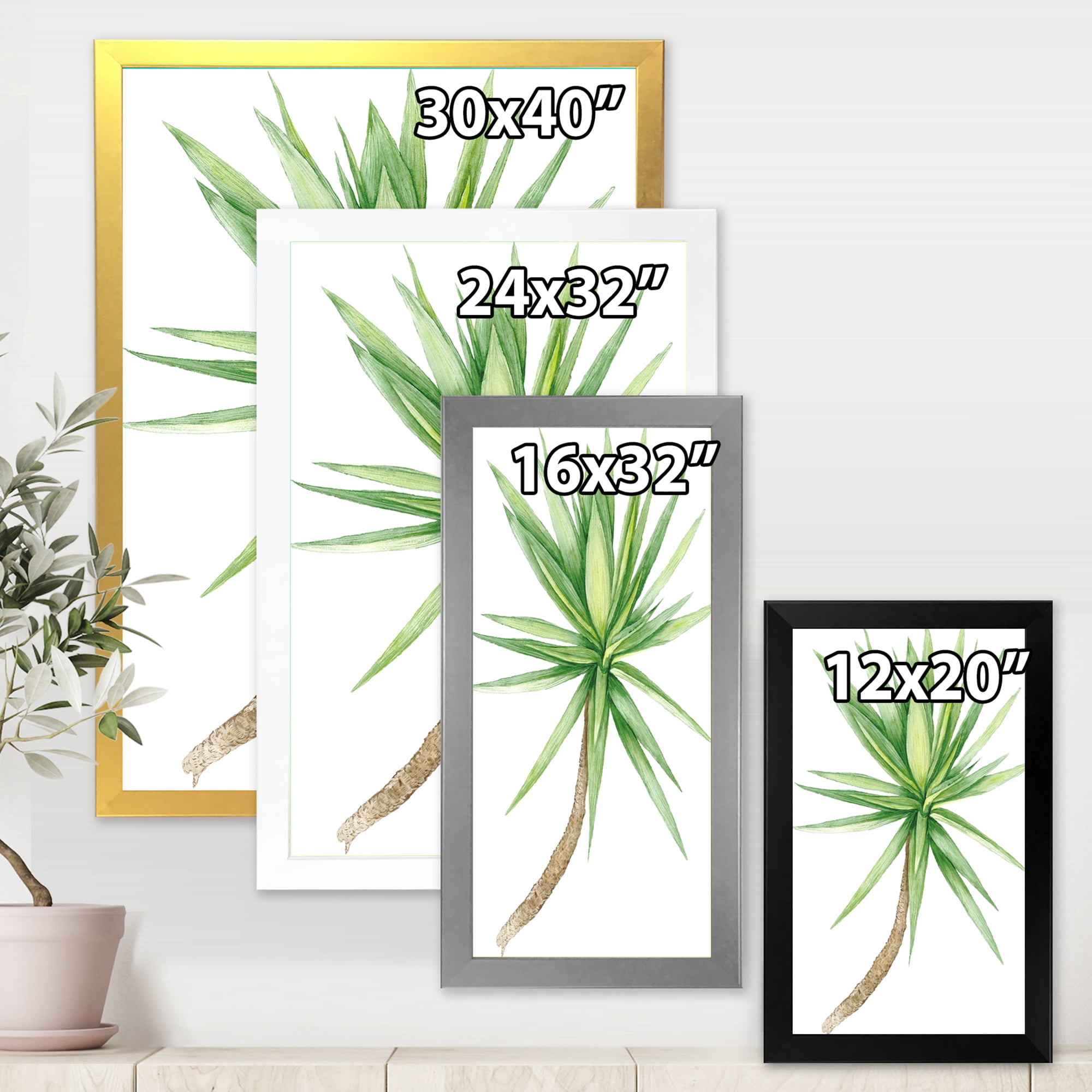 Designart 'Close Up Of Yucca Tree' Traditional Framed Art Print