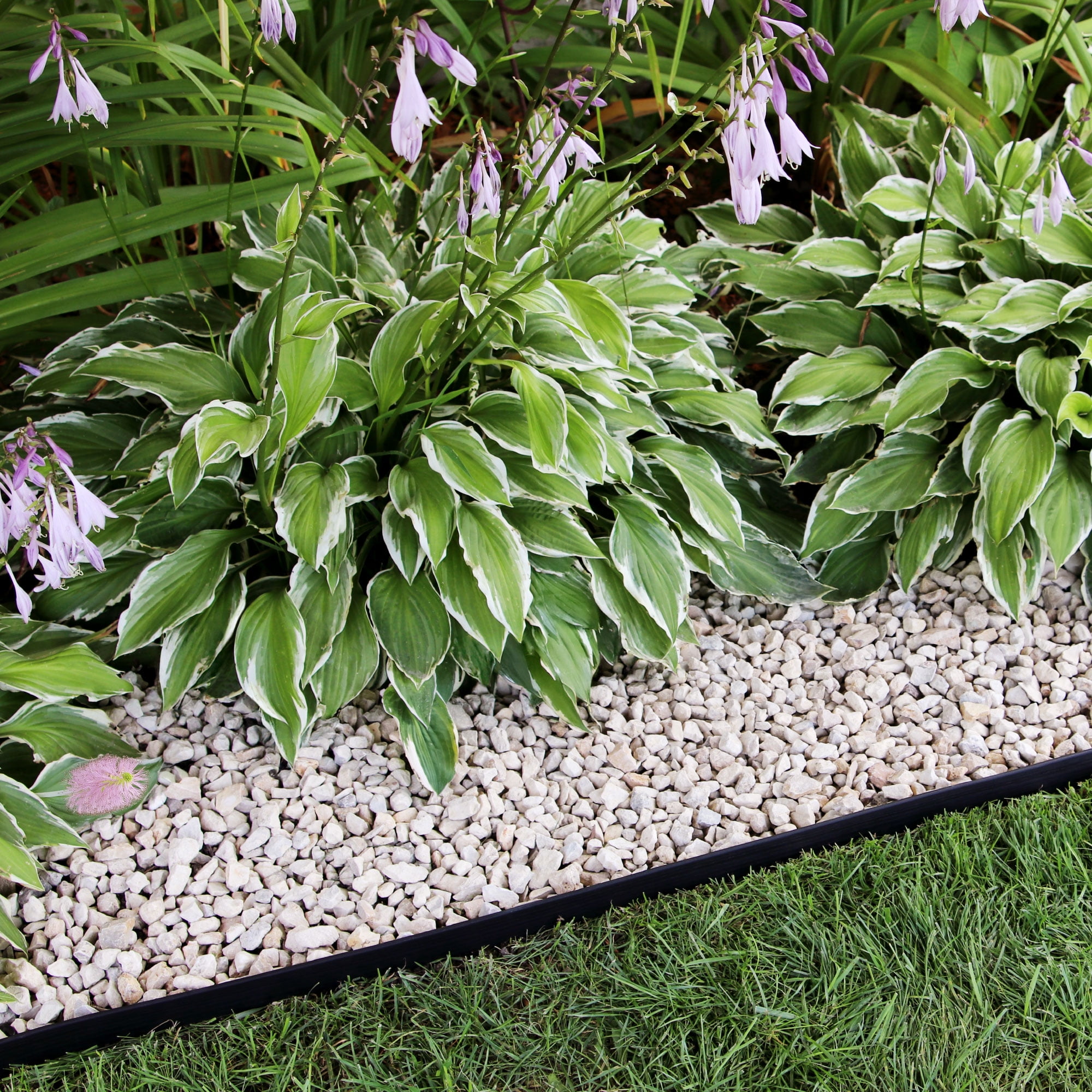 Dig-Free 25 ft. Landscape Edging Border, Garden Edging for Flower Beds, Garden & Lawns, Plastic (Black)
