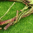 thumbnail image 4 of YSNOOWE 2Ud Adorno En Rattan Para Terrario Con Acabado Y Para Mascotas, 4 of 6