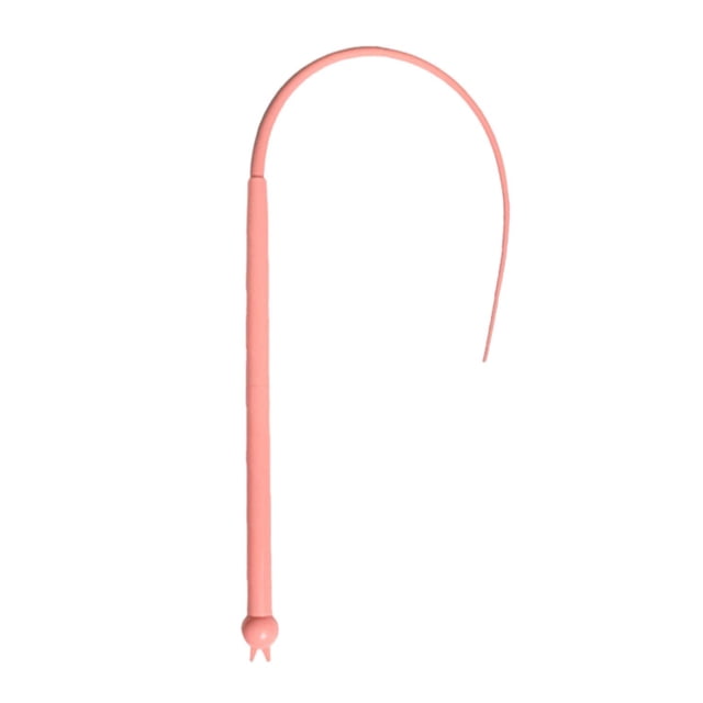 Cat Teaser Stick Interactive Toy 1 Set Simulated Tail Wand Toy Interactive Silicone Teaser Toy Set for Pets Pet Supplies