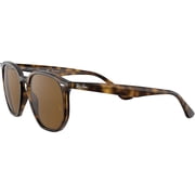 Ray-Ban Rb4306 Hexagonal Sunglasses