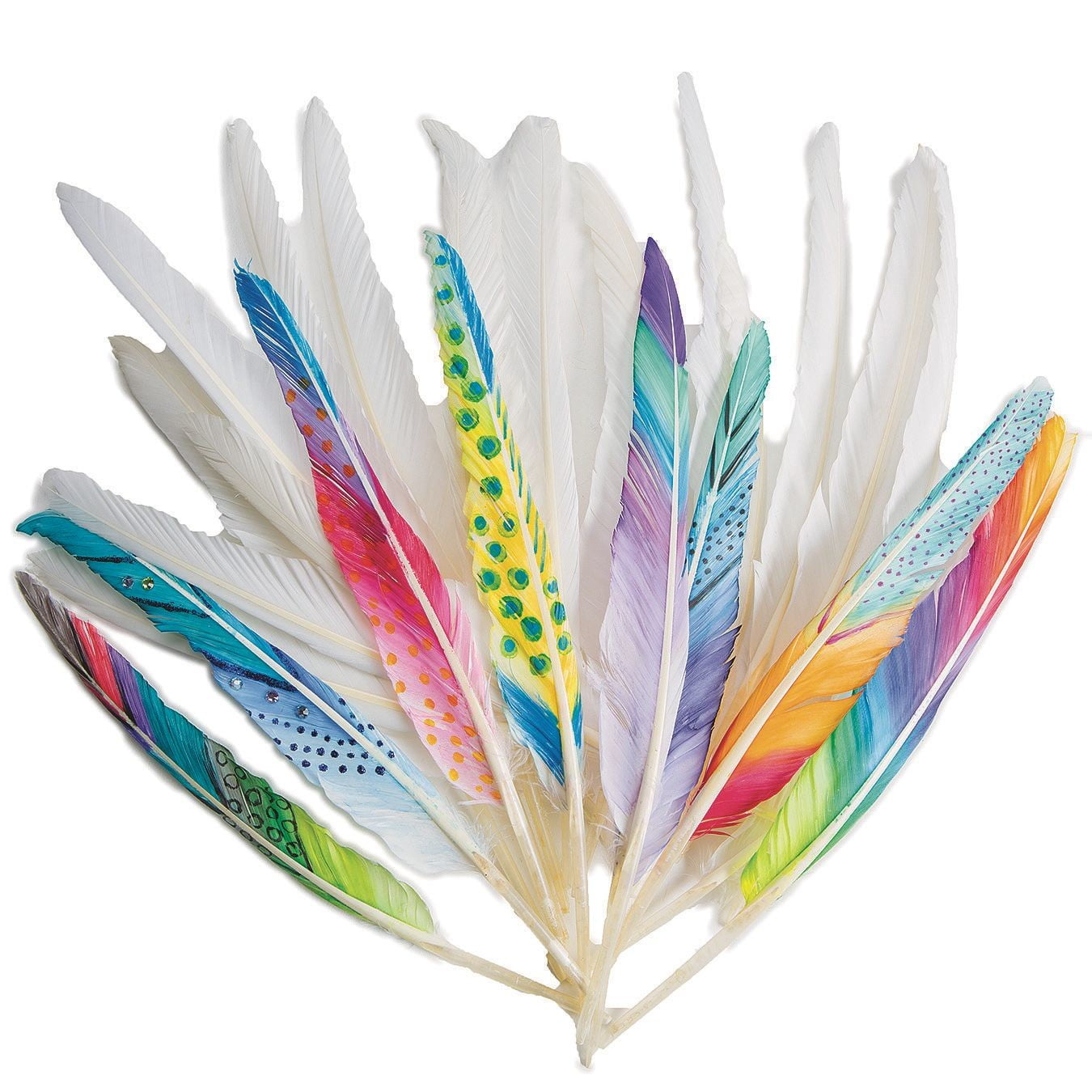 Color Splash!® Long Quill Feathers, White