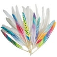 thumbnail image 2 of Color Splash!® Long Quill Feathers, White, 2 of 4