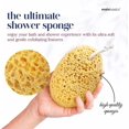 thumbnail image 2 of Bath Sponge, Exfoliating Body Sponge Large & Soft Shower Sponge, Foam Loofah - 2 Pack, 2 of 4