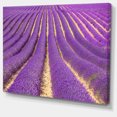 thumbnail image 2 of Beautiful Pattern of Blooming Lavender - Large Flower Canvas Wall Art, 2 of 3