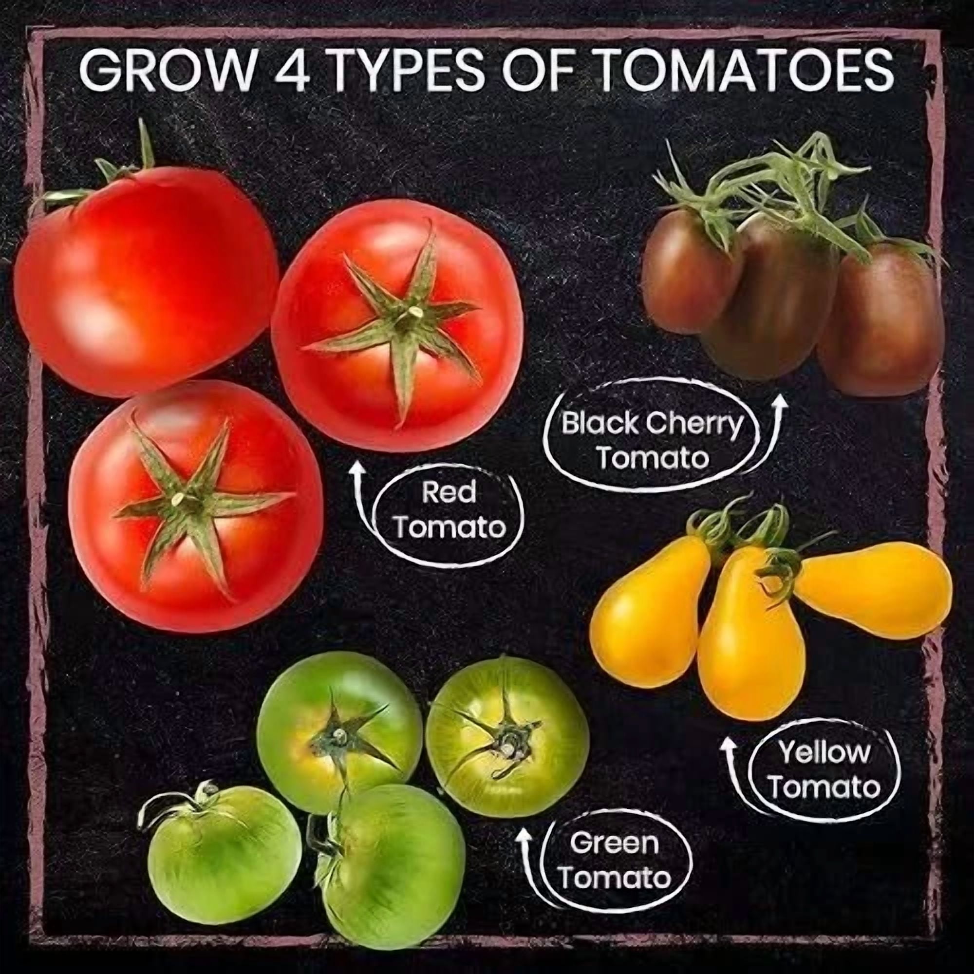 PURELY- Tomato Garden Kit – 4 Seed Types, Pots & Markers