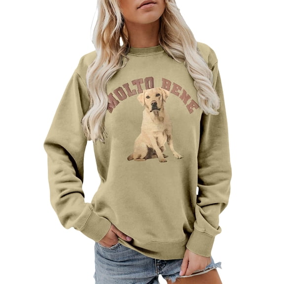 Arlun Womens Dog Graphic Sweatshirts Casual Loose Crew Neck Long Sleeve Pullovers Fall Winter Funny Molto Bene Letter Print Soft Comfy Workout Hoodless Outfits Khaki XL