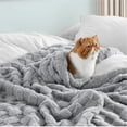thumbnail image 4 of U by Bedsure Light Grey Fleece Blanket for Couch - Super Soft Cozy Queen Blankets for Women,Girls, 90x90 inches, 4 of 6