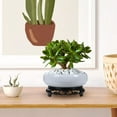 thumbnail image 4 of Dongrere Lotus Bowl Planter Planter Pot for Indoor Garden Ceramic Flower Planter with Stand, 4 of 6