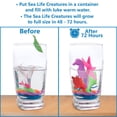 thumbnail image 3 of Ipidipi Toys Juguetes de criaturas marinas que crecen en el agua para niños, paquete de 32 animales que crecen en el agua, regalos de fiesta bajo el mar con temática del océano, rellenos de bolsas de, 3 of 5
