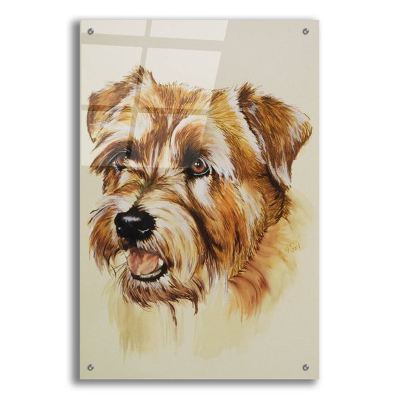 Epic Art 'Norfolk Terrier' by Barbara Keith, Acrylic Glass Wall Art, 24"x36"