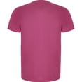 thumbnail image 2 of Roly T-Shirt de Sport à Manches Courtes pour Hommes Imola, 2 of 3