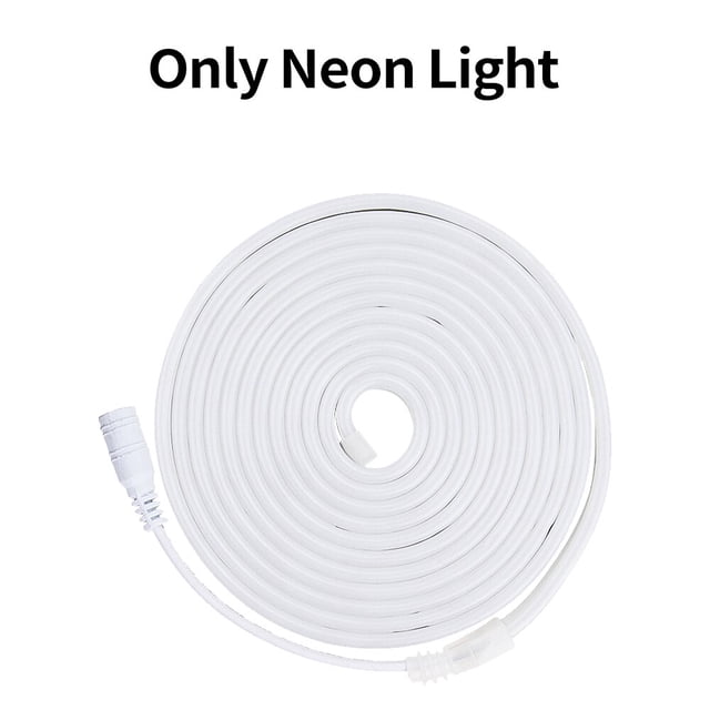 Tira de luces LED de neón para decoración del hogar, tira de luces LED de 12V CC, resistente al agua, SMD 2835, Flexible, color blanco cálido, 1M, 2M, 5M