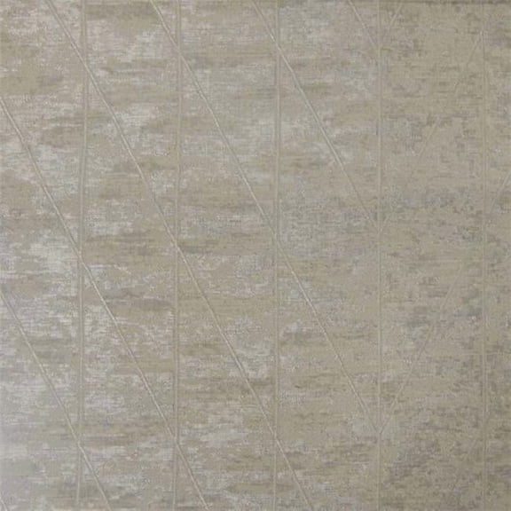 American Silk 21339 54 in. Millenium Plain & Texture Design Silk Fabric Cloth, Chamois