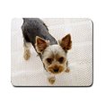 thumbnail image 1 of RYLABLUE Tapis de Sol pour Chien Tapis de Sol Extérieur/intérieur Taille 23.6x15.7 Pouces, 1 of 1
