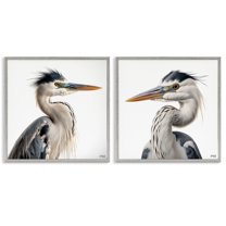 Stupell Industries Young Heron Birds Animals Painting Gray Framed Art Print Wall Art, 17 x 17, Set of 2