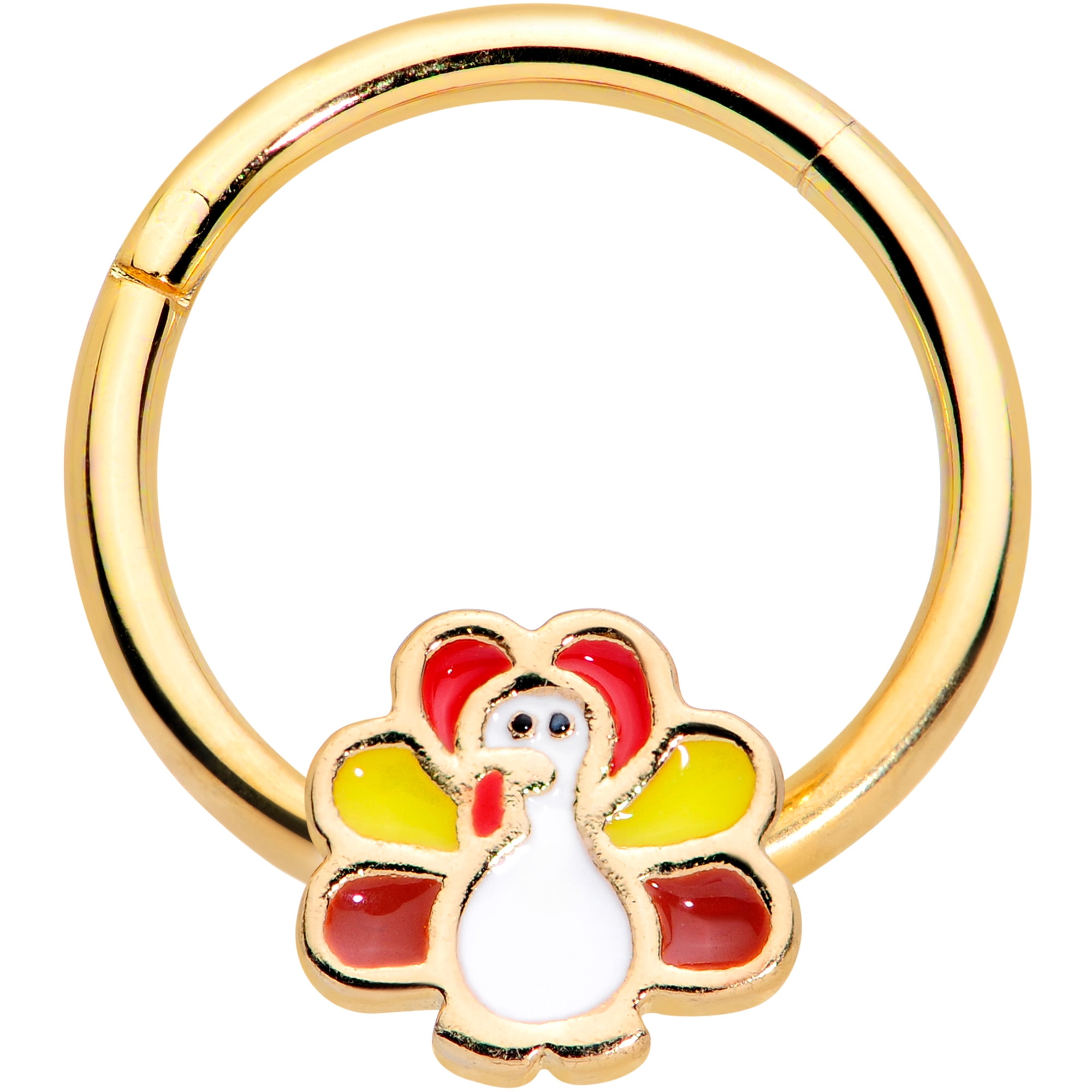 Body Candy Womens 16G PVD Steel Hinged Segment Ring Seamless Cartilage Nipple Ring Tom Turkey Nose Hoop 3/8'