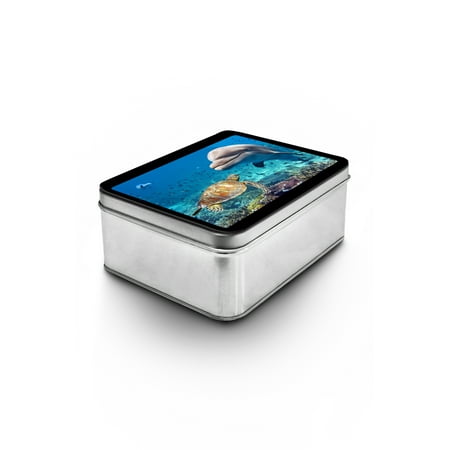 Dolphin Keepsake - Dolphin & Sea Turtle - Lantern Press Photography (Keepsake Tin)