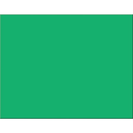 Pacon® Railroad Board, 6-Ply, 22" x 28", Holiday Green, Pack of 25