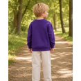 thumbnail image 3 of Aideaone Toddler Boys Sweatshirt Kids Long Sleeve Tops Crewneck Pullover, 3 of 7