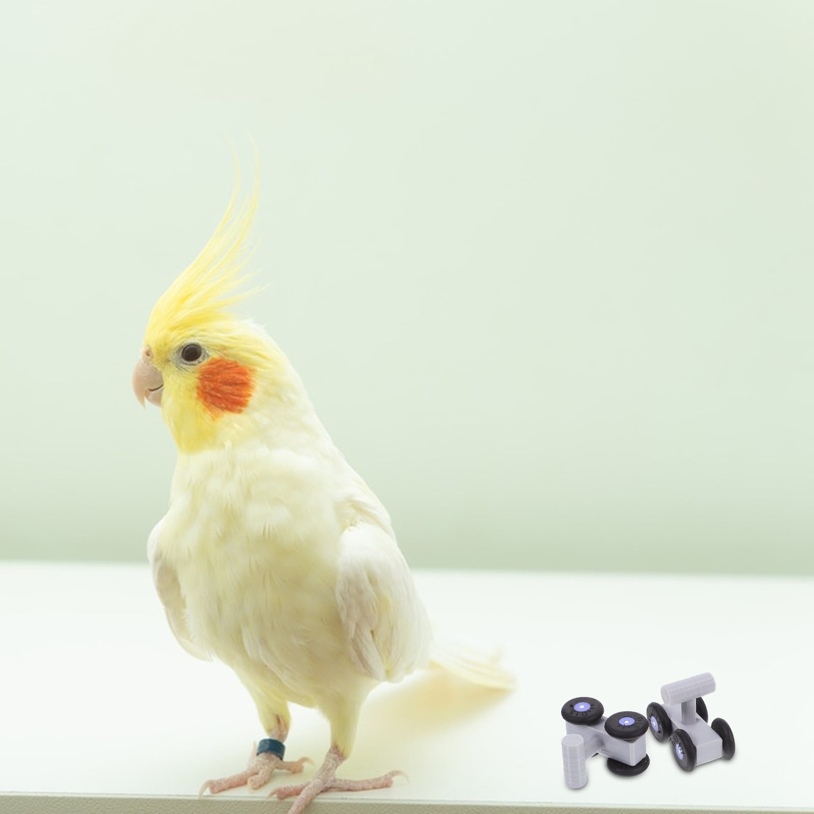 COMPUKAS Bird Skating Shoes for Parakeets Pet Accessories 1 Pair