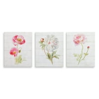 Patton Wall Decor 8x10 Pink June Blooms on Wood Painting, Set of 3 Canvas Art