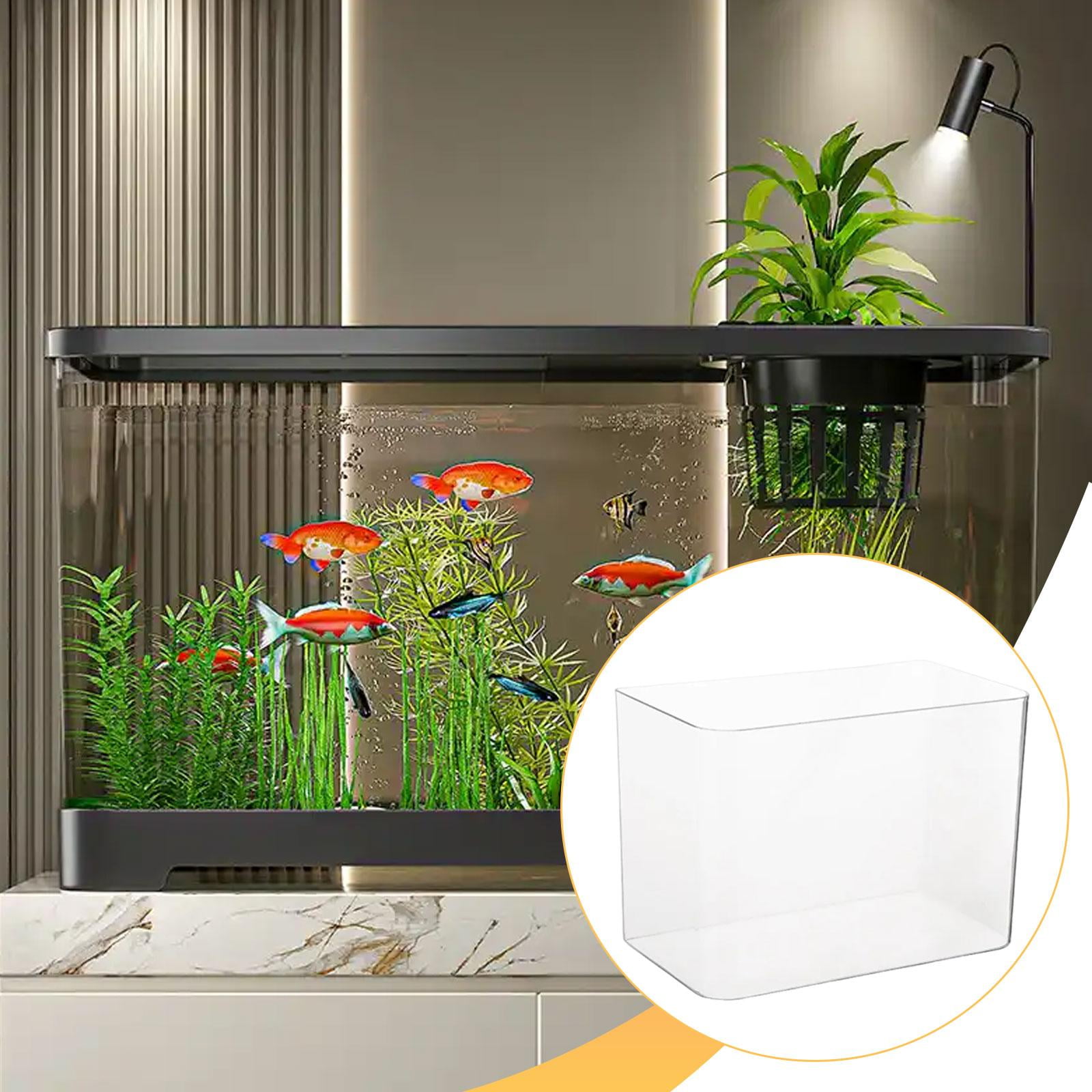 EHJRE Reptile Terrarium Tank Aquarium Clear Habitat Cage Transparent Feeding Box Sturdy Pp Build Suitable for Fish Keeping Reptile Caring Desktop Placement No Lid