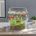 thumbnail image 4 of Desktop Aquarium For Fish Turtle Round Fish Bowl Clear Aquarium Fish Tank Enhance Viewing Experience Decorative Fish Bowl Small Desktop Aquariums For Fish & Turtles, 4 of 7