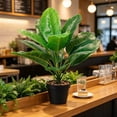 thumbnail image 6 of Gumesh Nearly Natural Artificial Dieffenbachia Plant Faux Greenery in Planter for Indoor Home Decor, 6 of 6