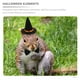 thumbnail image 3 of 1 juego de gorro de mascotas bufanda bowtie lizard bruja sombrero halloween fiesta de hámster accesorios de ropa de hámster, 3 of 4