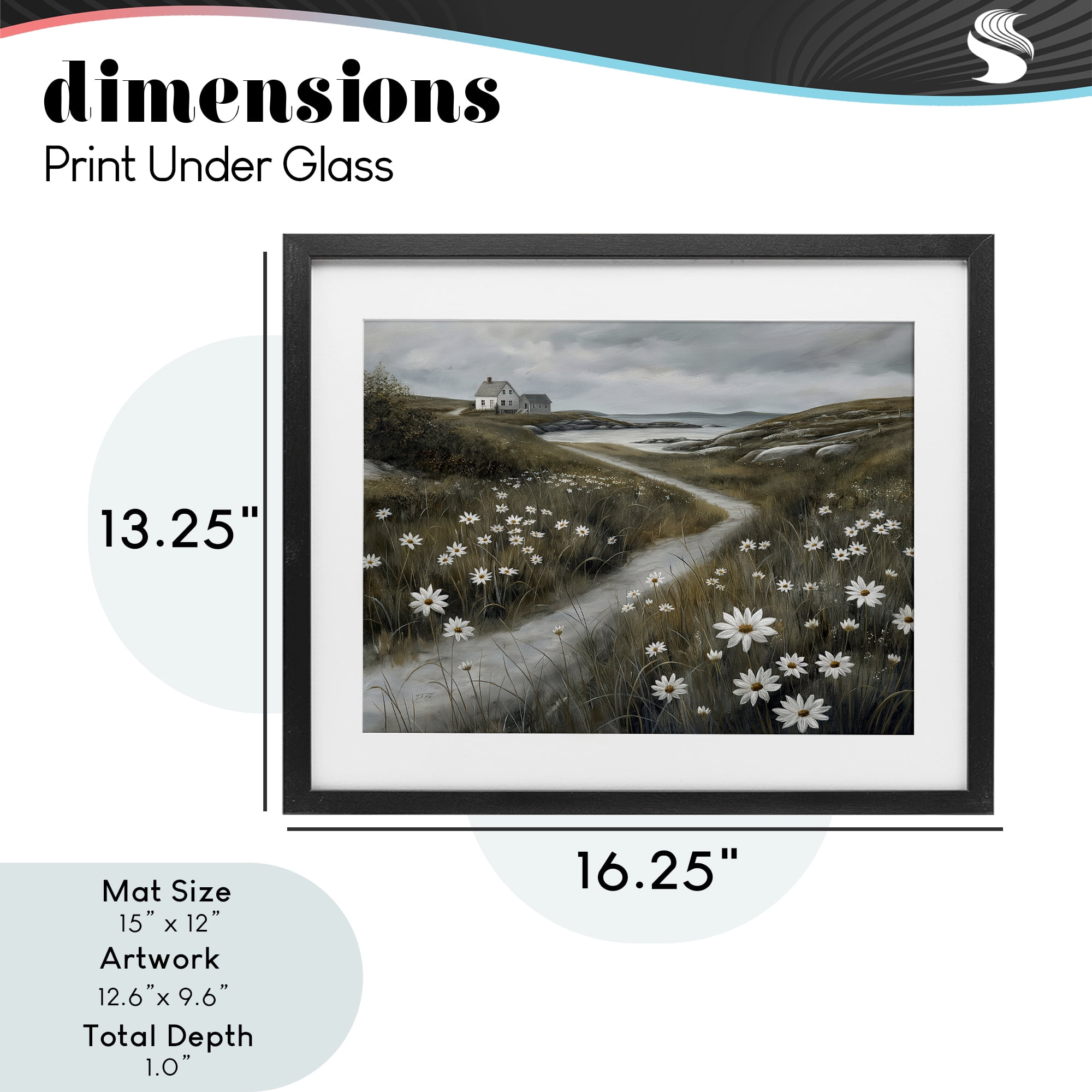 Stupell Industries Daisies Along Coastal Path Black Framed Print Under Glass, design by Imagine It Images
