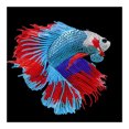 thumbnail image 2 of Cuadros Decorativos Koi Fish 5D DIY Kits de pintura de diamantes Arte de taladro parcial en forma especial (YXC 338) Tmvgtek embutido en tela, 2 of 8