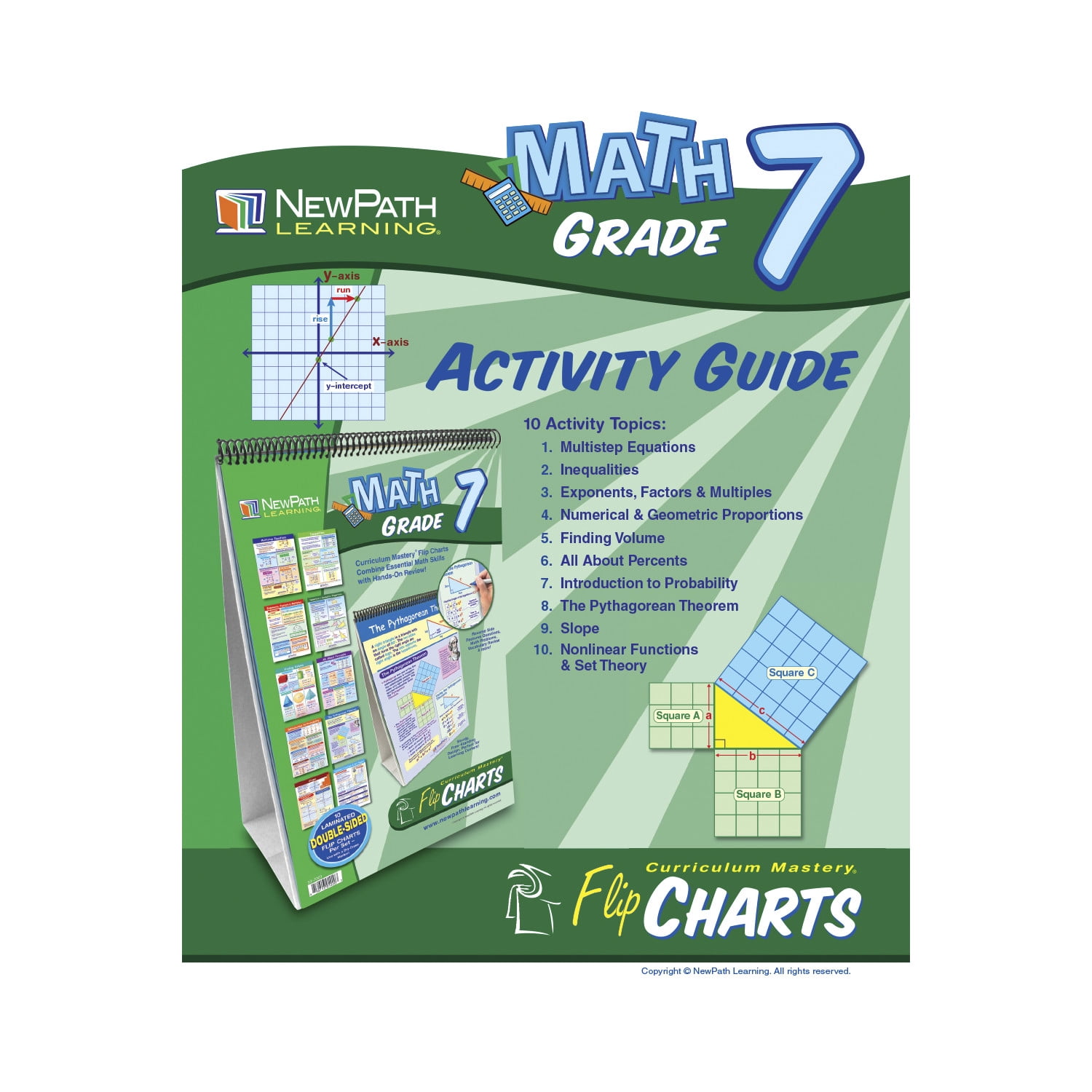 Math Skills Curriculum Mastery® Flip Chart, 10 Pages, Grade 7