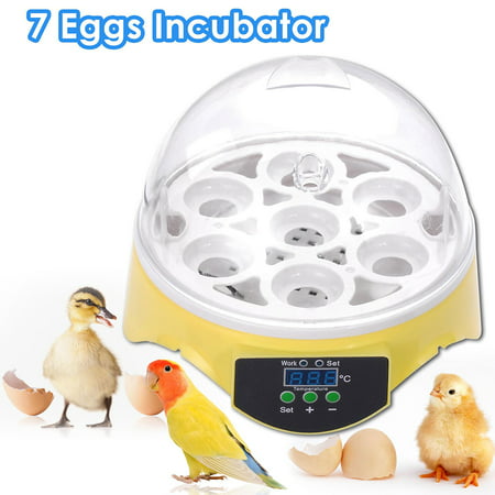 Yescom Mini Digital Transparent 7 Egg Incubator Clear Chicken Poultry Hatcher w/ CE