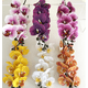 thumbnail image 2 of Xiao Hua 3 flores artificiales de orquídea polilla, flores falsas, flores artificiales para decoración de bodas, 2 of 5